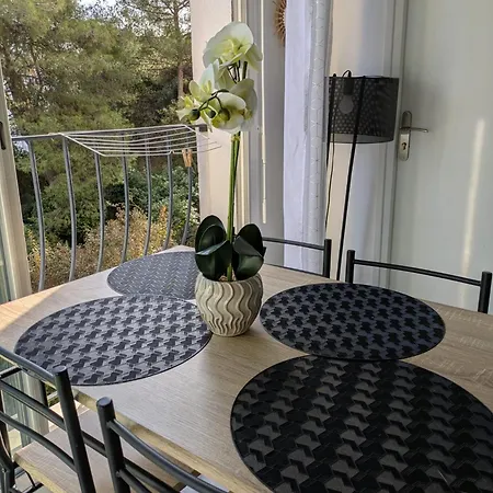 Apartament Sejour Chic Proche De La Nicea